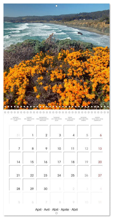 Dreaming California (CALVENDO Monthly Calendar 2025)