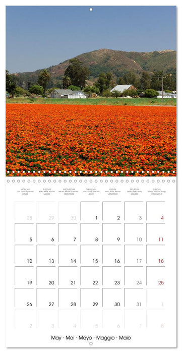 Dreaming California (CALVENDO Monthly Calendar 2025)