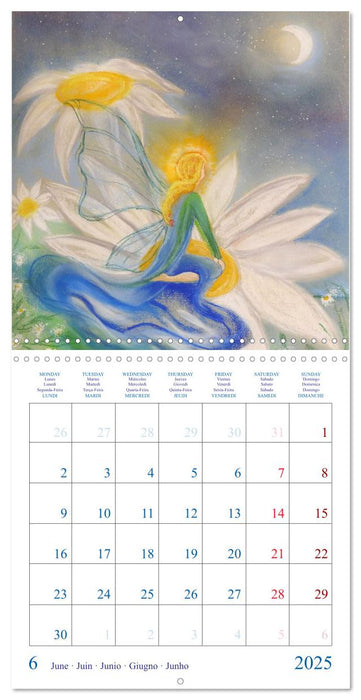 Colorful Fairies (CALVENDO Monthly Calendar 2025)