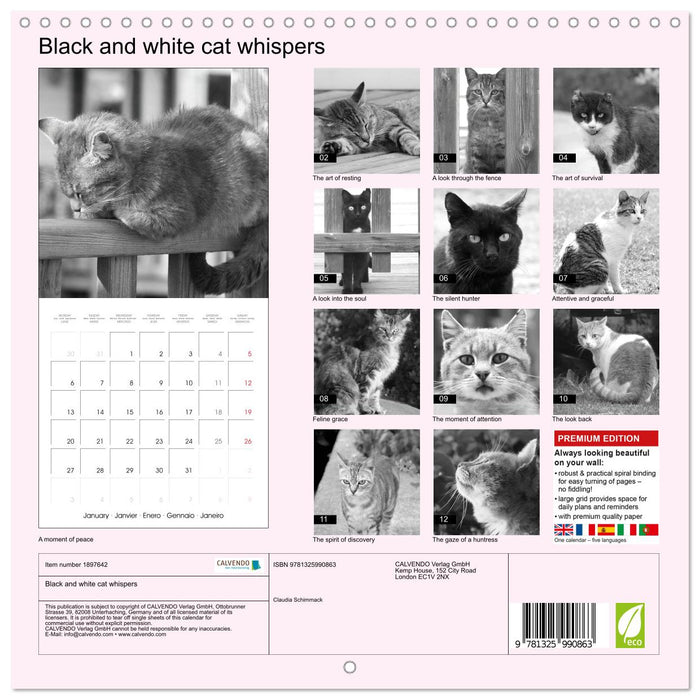 Black and white cat whispers (CALVENDO Monthly Calendar 2025)