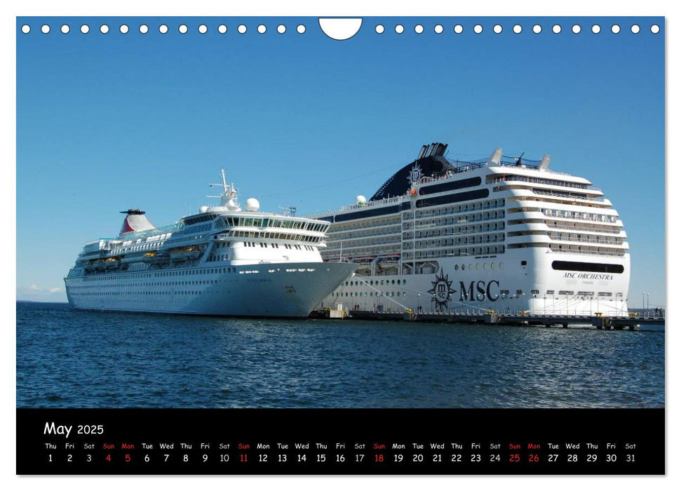 Cruise ships around the world (CALVENDO Monthly Calendar 2025)