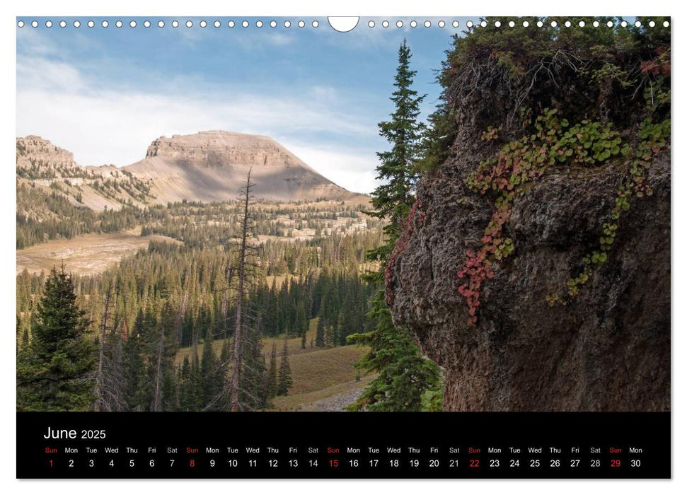 Beautiful Yellowstone and Grand Tetons National Parks (CALVENDO Monthly Calendar 2025)