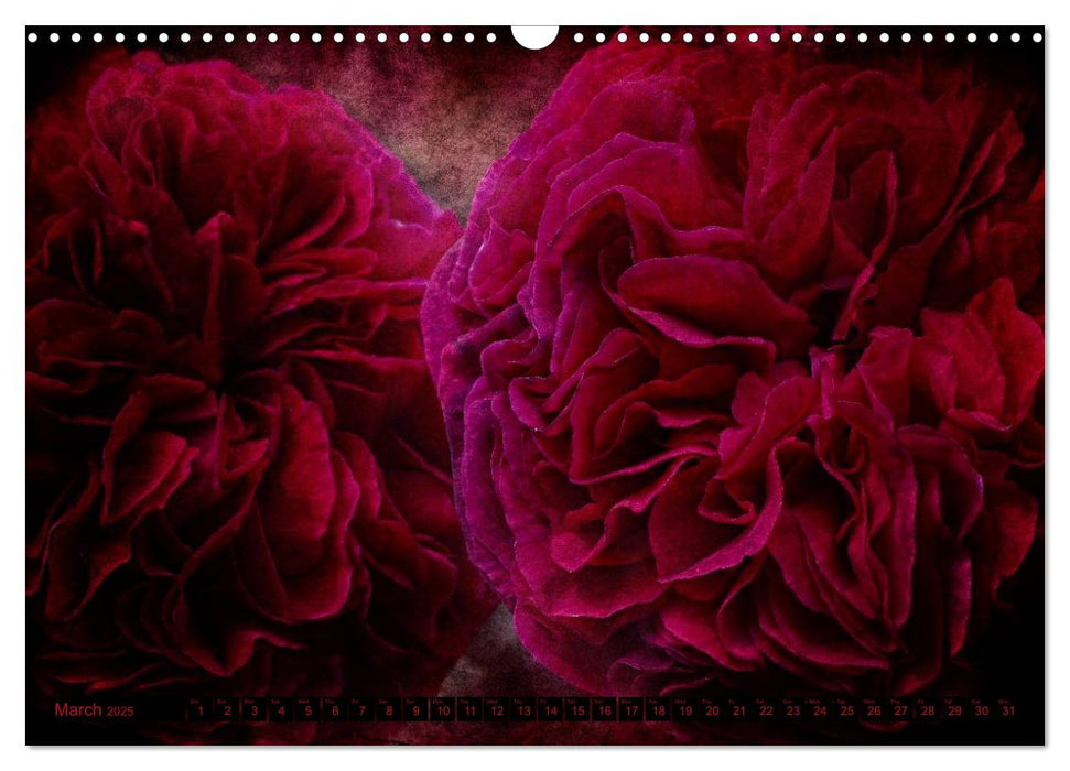 Gothic Roses (CALVENDO Monthly Calendar 2025)