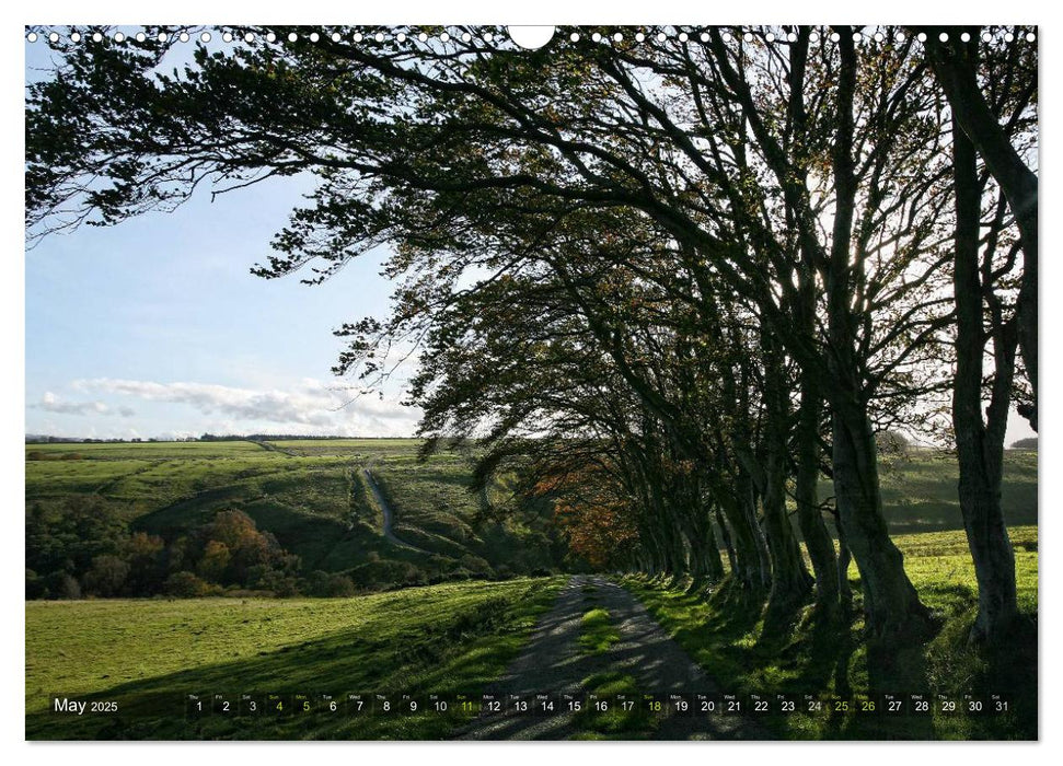 Wild Beauty of Cumbria (CALVENDO Monthly Calendar 2025)