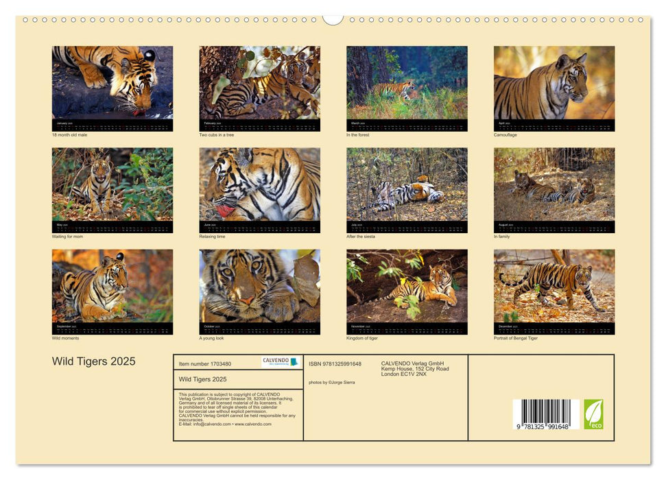 Wild Tigers 2025 (CALVENDO Premium-Calendar 2025)