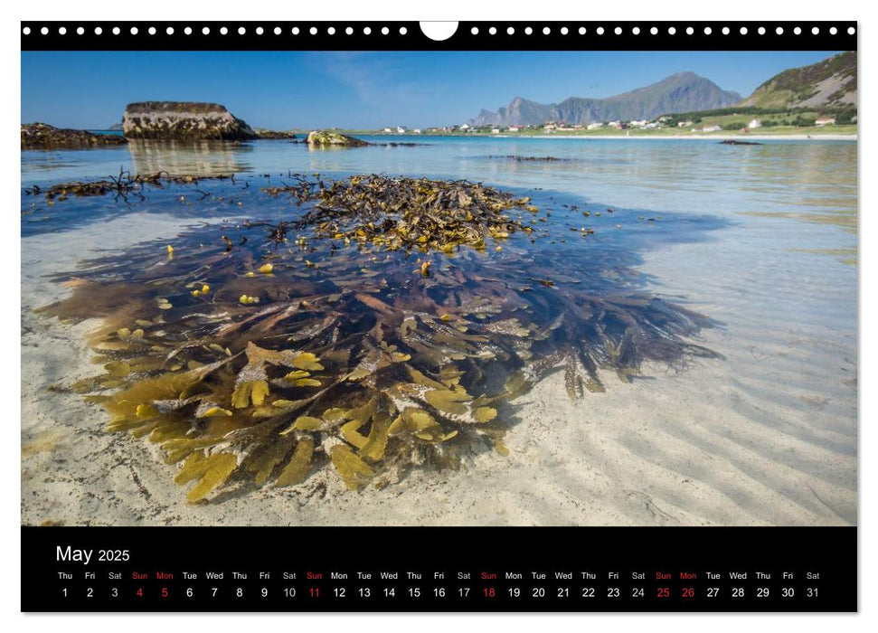 Summer on the Lofoten (CALVENDO Monthly Calendar 2025)