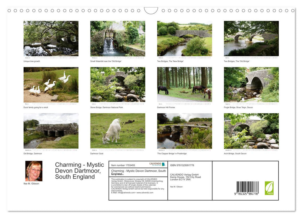 Charming - Mystic Devon Dartmoor, South England (CALVENDO Monthly Calendar 2025)