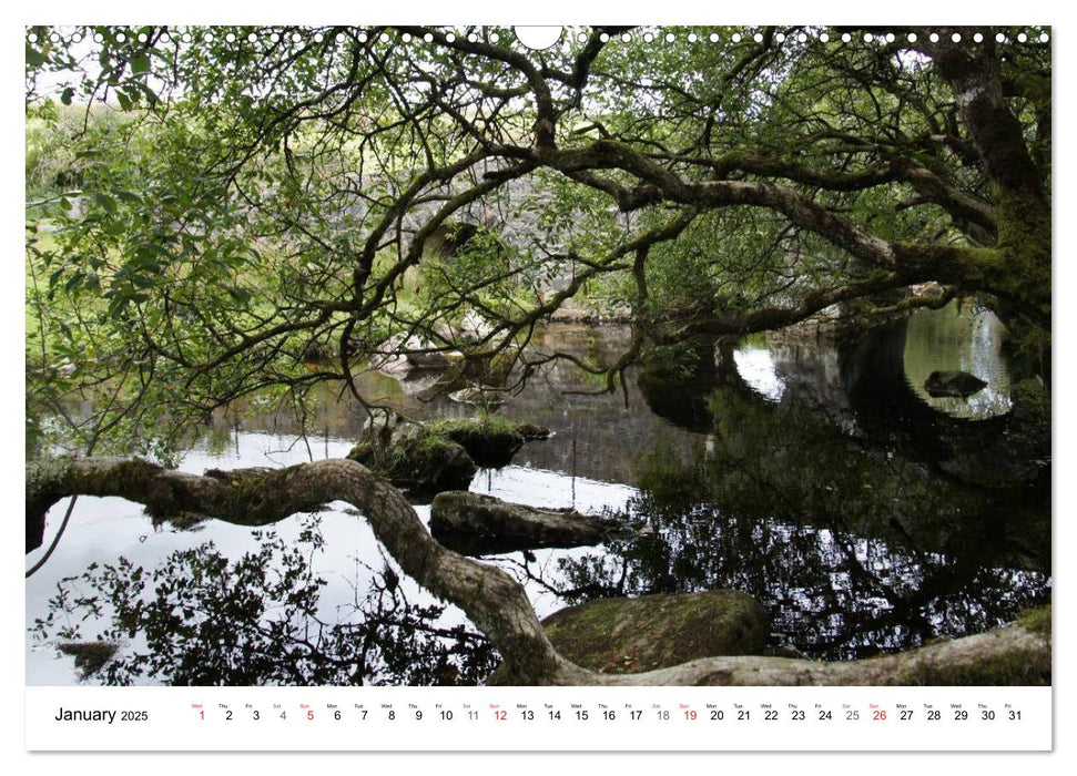 Charming - Mystic Devon Dartmoor, South England (CALVENDO Monthly Calendar 2025)