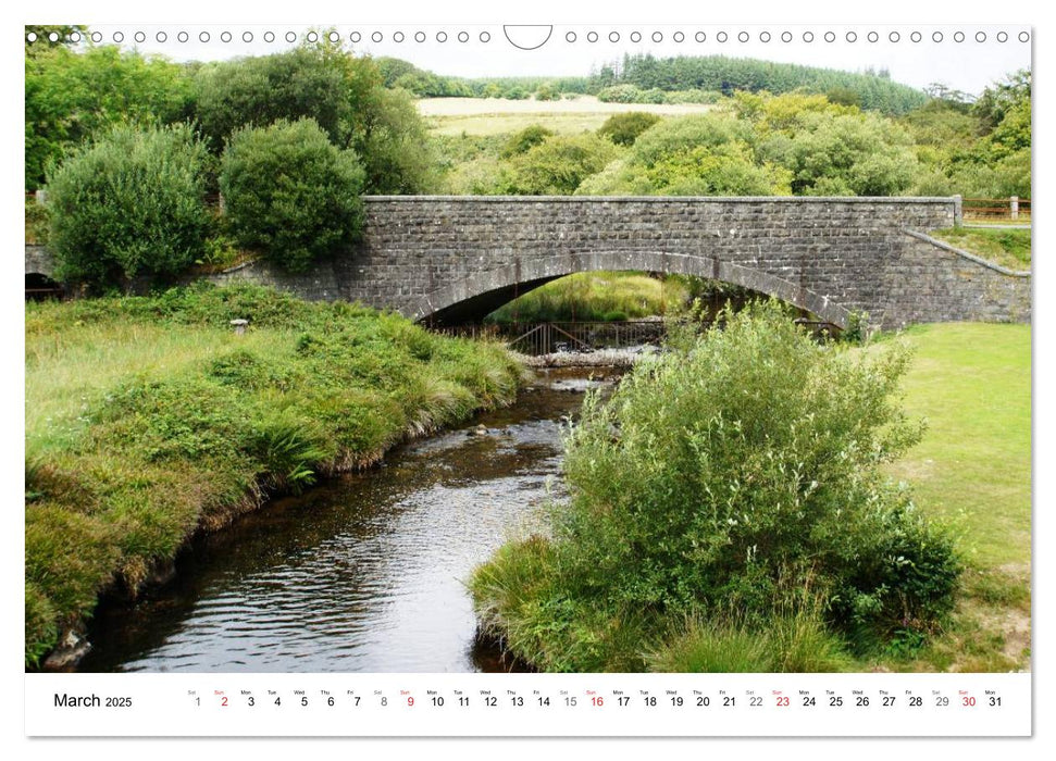 Charming - Mystic Devon Dartmoor, South England (CALVENDO Monthly Calendar 2025)