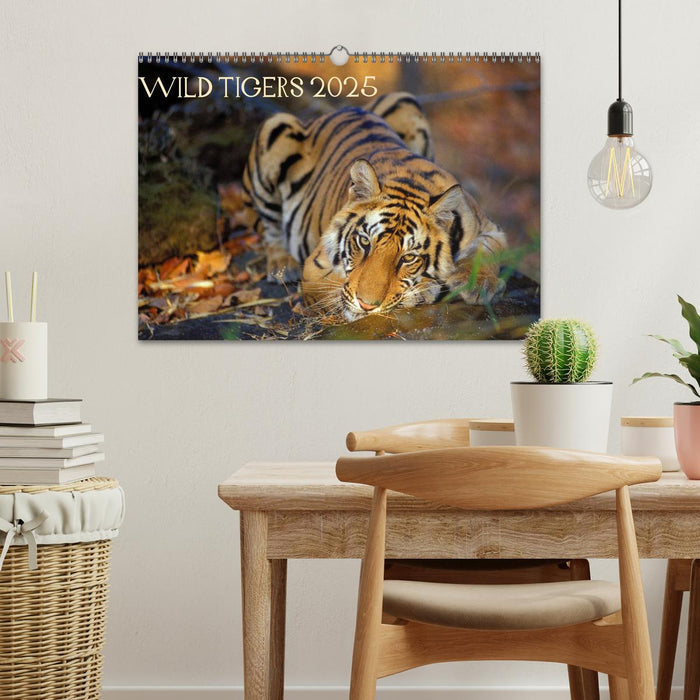 Wild Tigers 2025 (CALVENDO Monthly Calendar 2025)