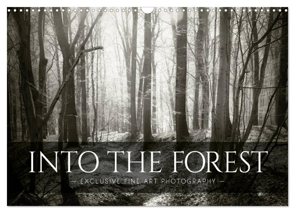 Into the Forest (CALVENDO Monthly Calendar 2025)