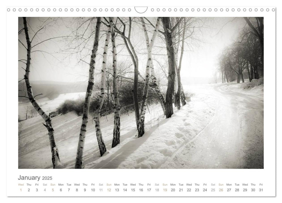 Into the Forest (CALVENDO Monthly Calendar 2025)