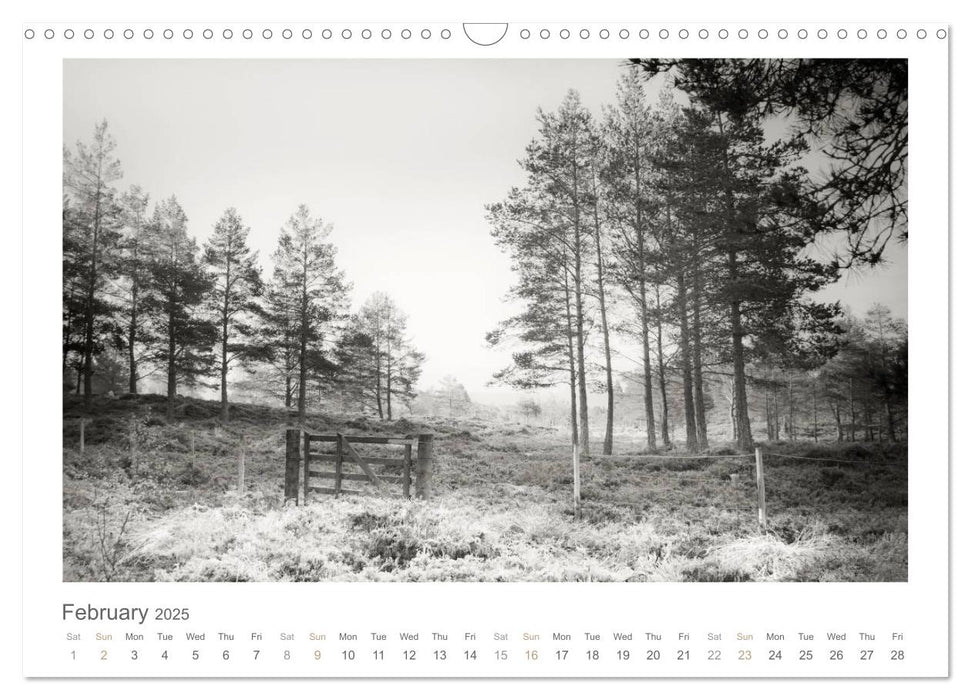 Into the Forest (CALVENDO Monthly Calendar 2025)