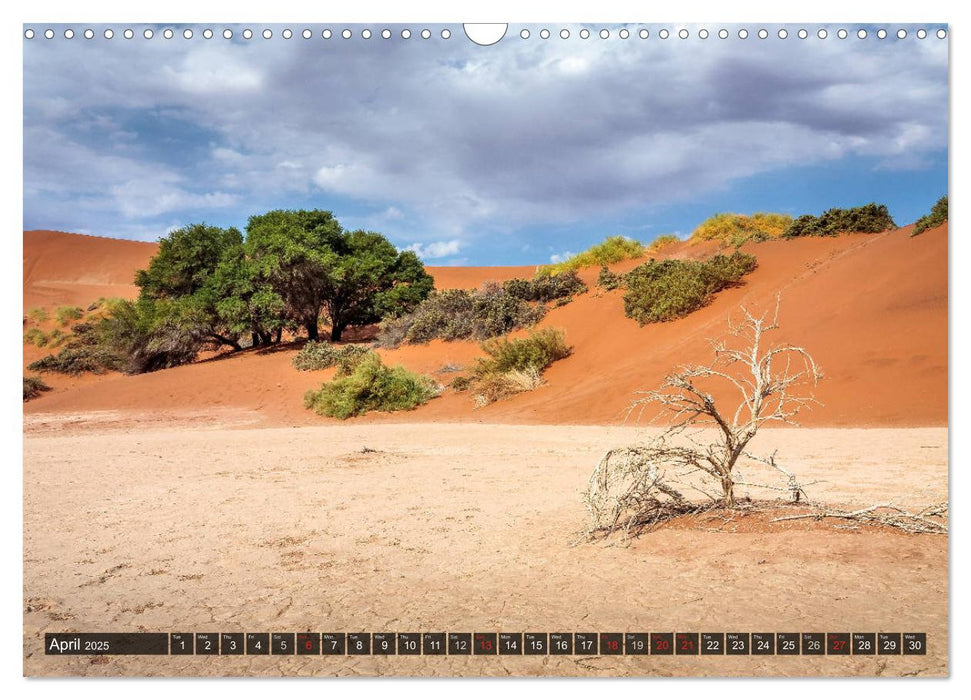 Namibia - Colours and Light (CALVENDO Monthly Calendar 2025)