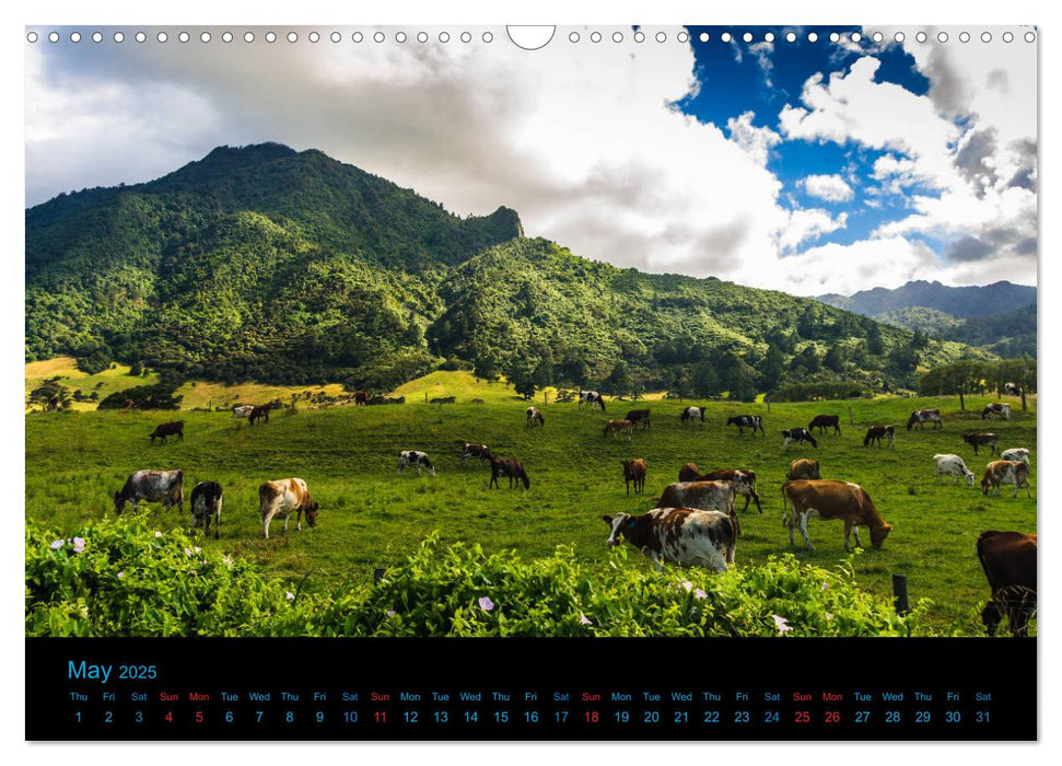 New Zealand - A bicycle adventure (CALVENDO Monthly Calendar 2025)