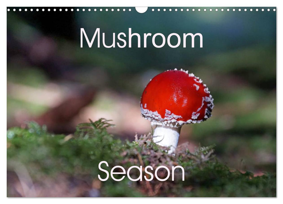 Mushroom Season (CALVENDO Monthly Calendar 2025)