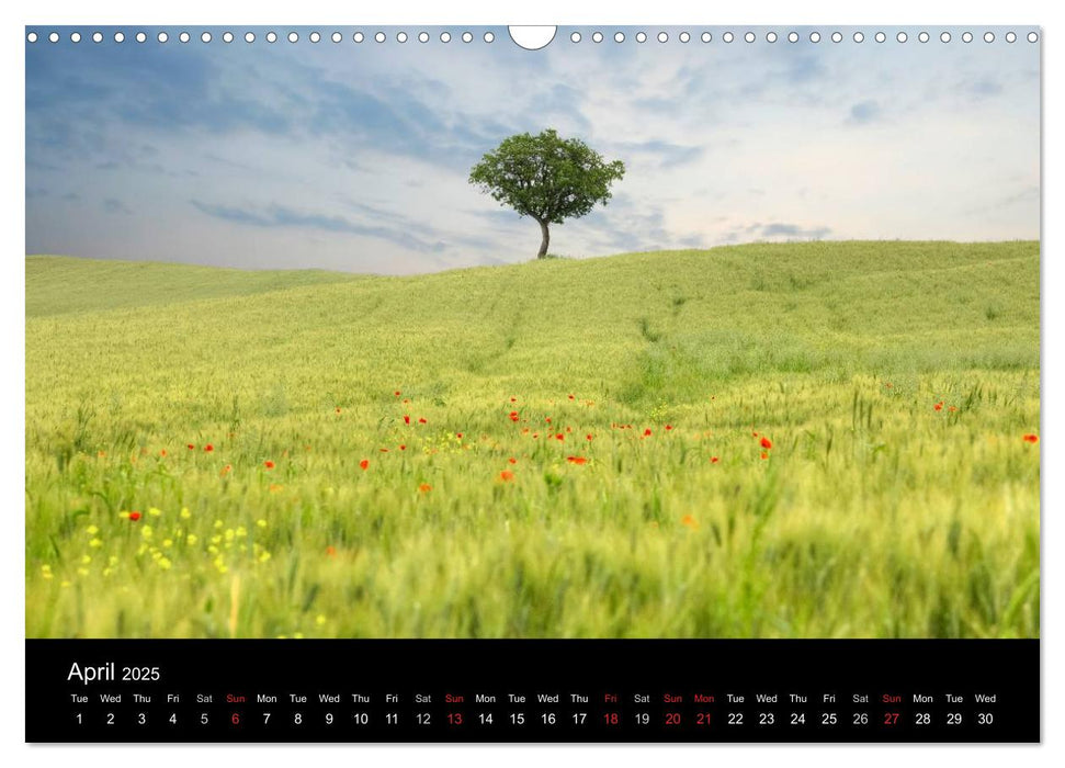 Tuscany (CALVENDO Monthly Calendar 2025)