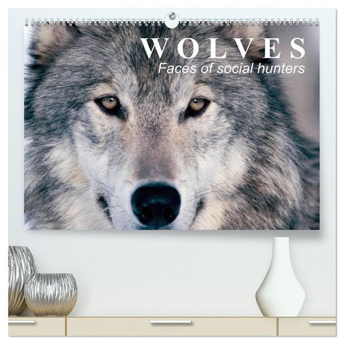 Wolves • Faces of social hunters (CALVENDO Premium-Calendar 2025)