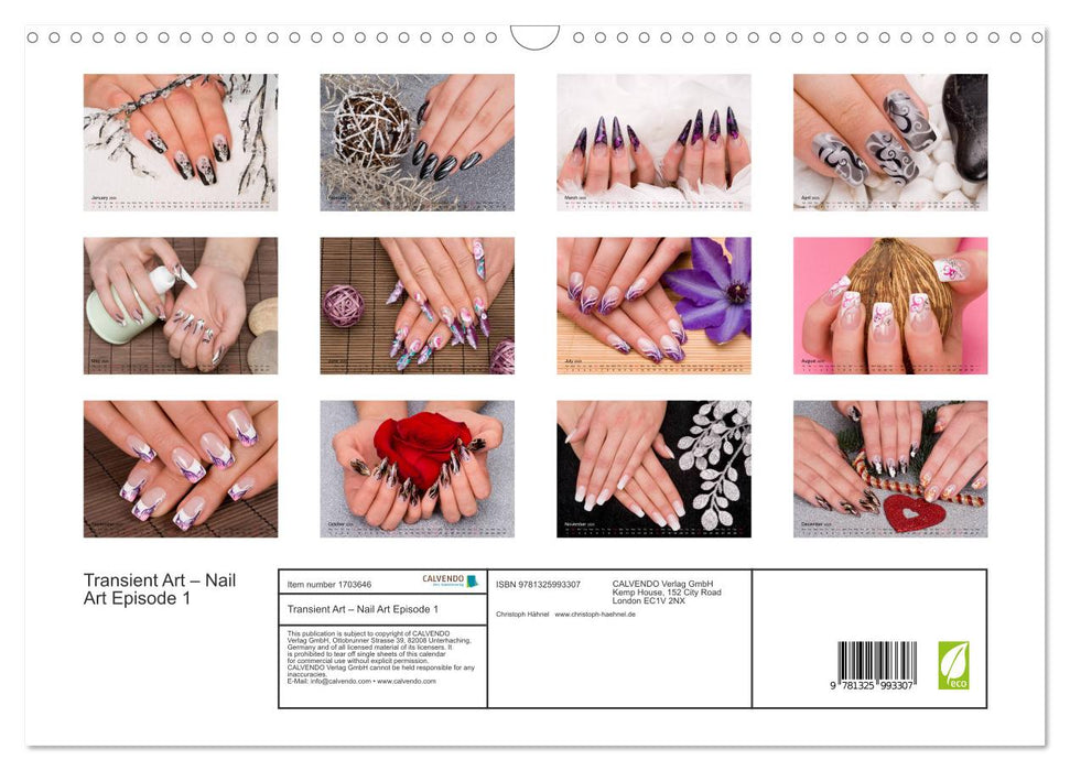 Transient Art – Nail Art Episode 1 (CALVENDO Monthly Calendar 2025)