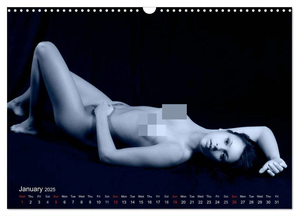 L´heure bleue - The Blue Hour (CALVENDO Monthly Calendar 2025)