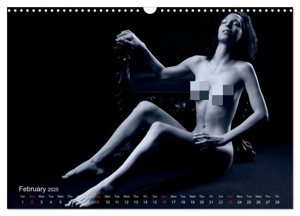 L´heure bleue - The Blue Hour (CALVENDO Monthly Calendar 2025)