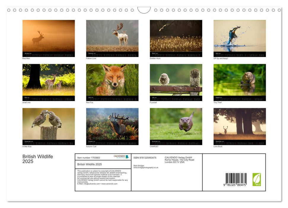 British Wildlife 2025 (CALVENDO Monthly Calendar 2025)