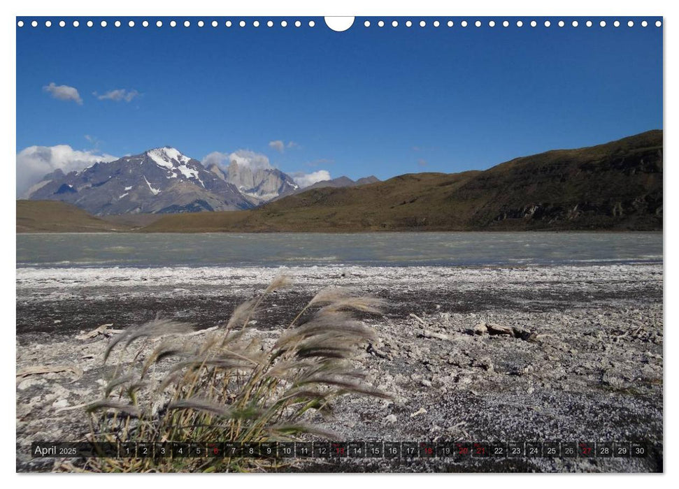 From the Rainforest to Tierra del Fuego (CALVENDO Monthly Calendar 2025)