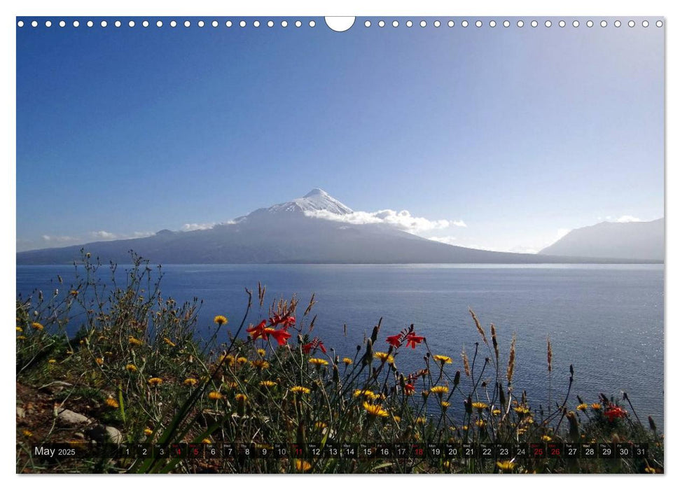 From the Rainforest to Tierra del Fuego (CALVENDO Monthly Calendar 2025)