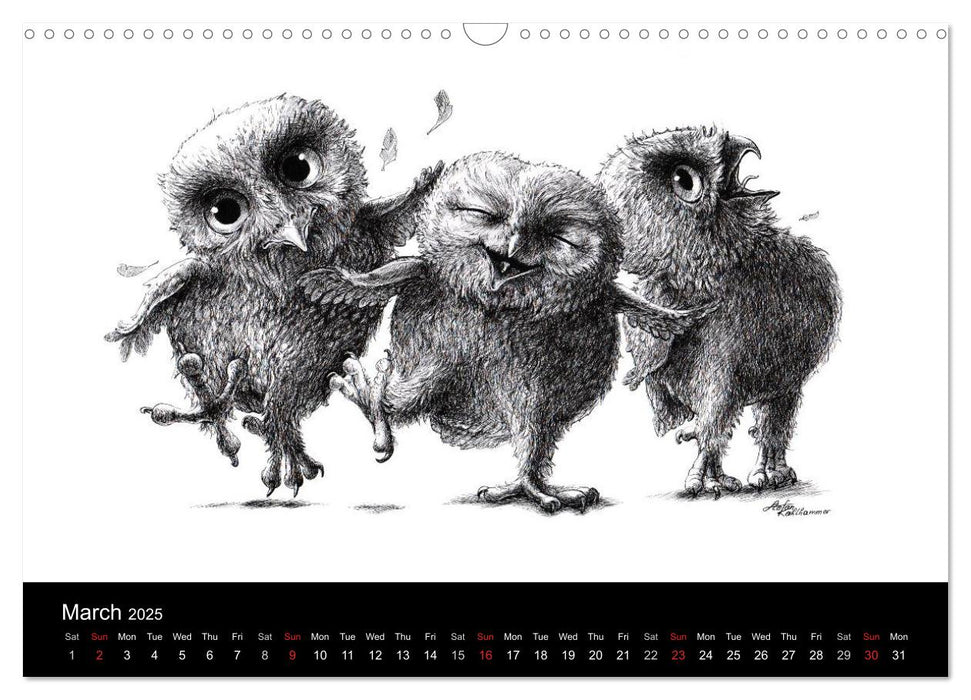 owls & friends 2025 (CALVENDO Monthly Calendar 2025)