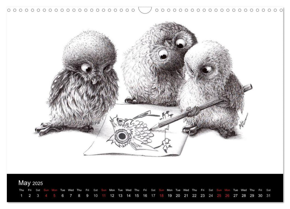 owls & friends 2025 (CALVENDO Monthly Calendar 2025)