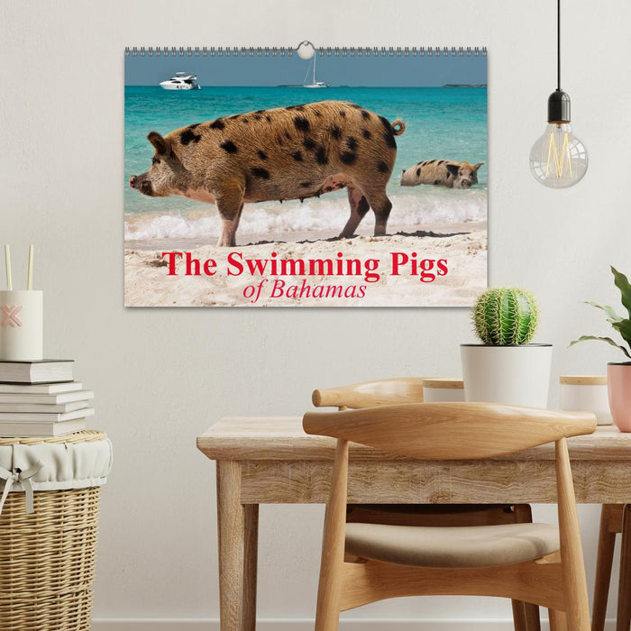 The Swimming Pigs of Bahamas (CALVENDO Monthly Calendar 2025)