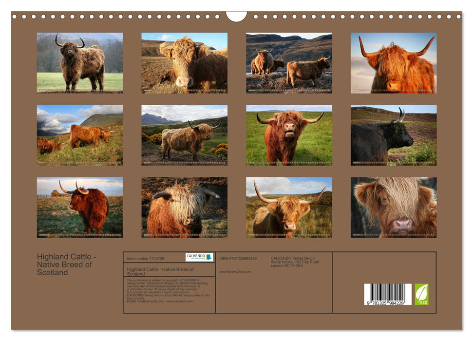 Highland Cattle - Native Breed of Scotland (CALVENDO Monthly Calendar 2025)