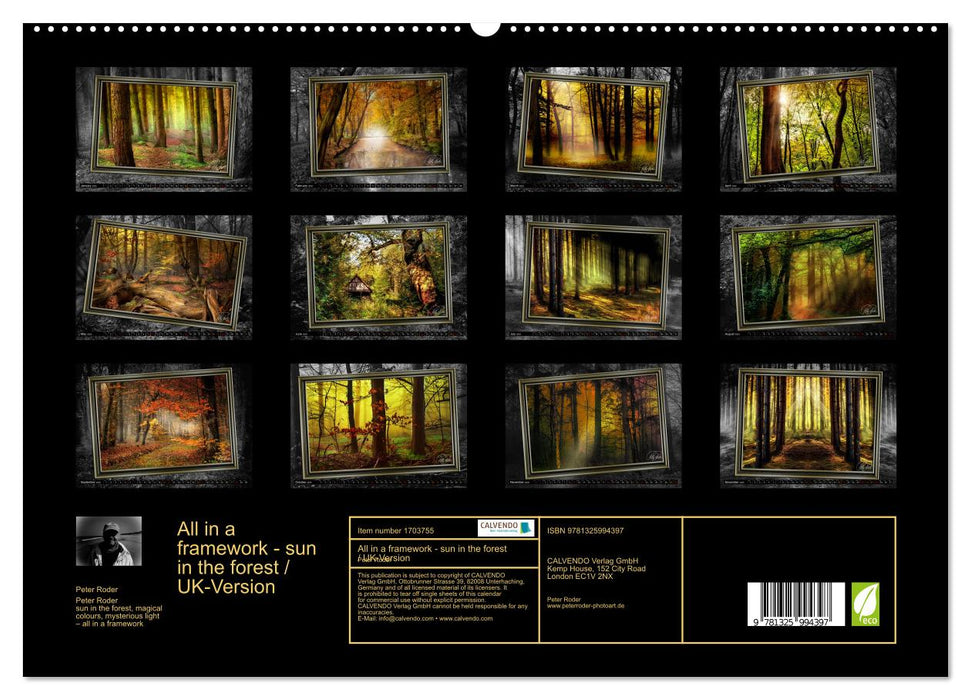 All in a framework - sun in the forest / UK-Version (CALVENDO Premium-Calendar 2025)