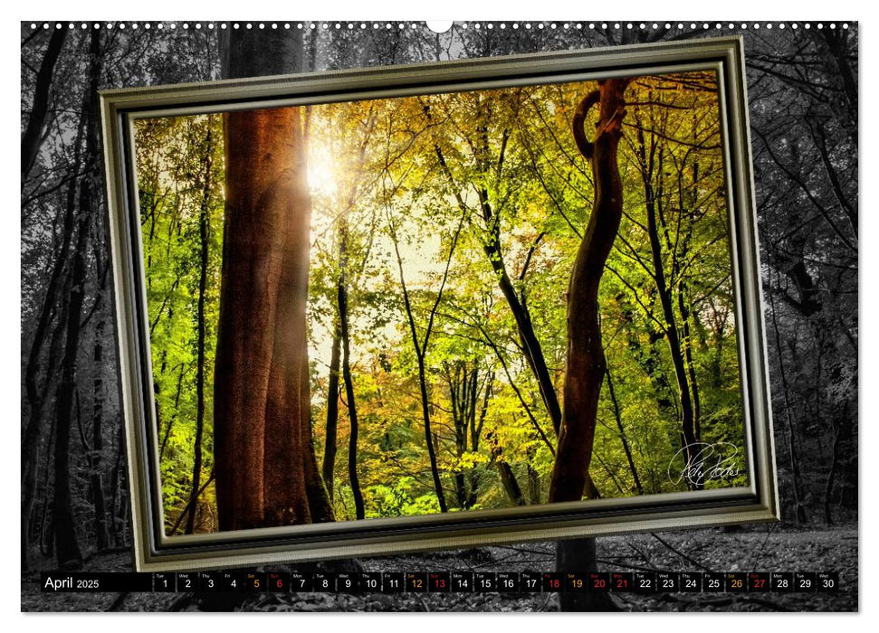 All in a framework - sun in the forest / UK-Version (CALVENDO Premium-Calendar 2025)