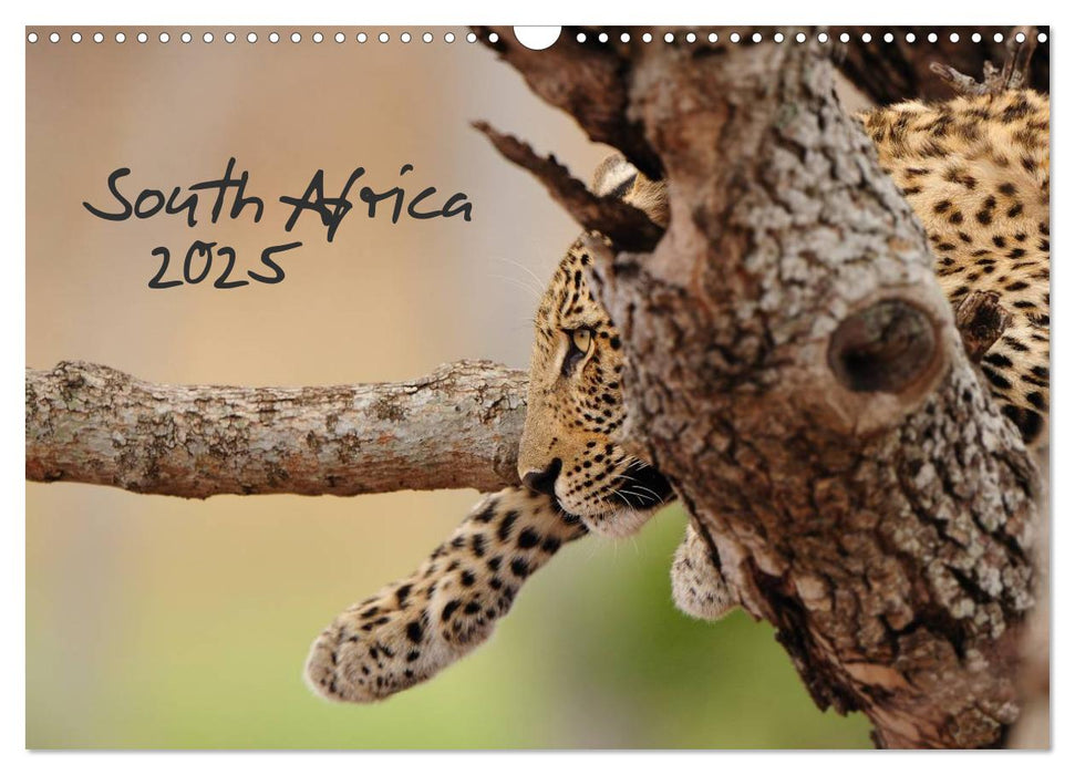 South Africa / UK-Version (CALVENDO Monthly Calendar 2025)