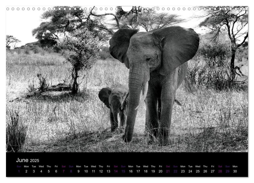 East Africa - Tanzania and Kenya / UK-Version (CALVENDO Monthly Calendar 2025)