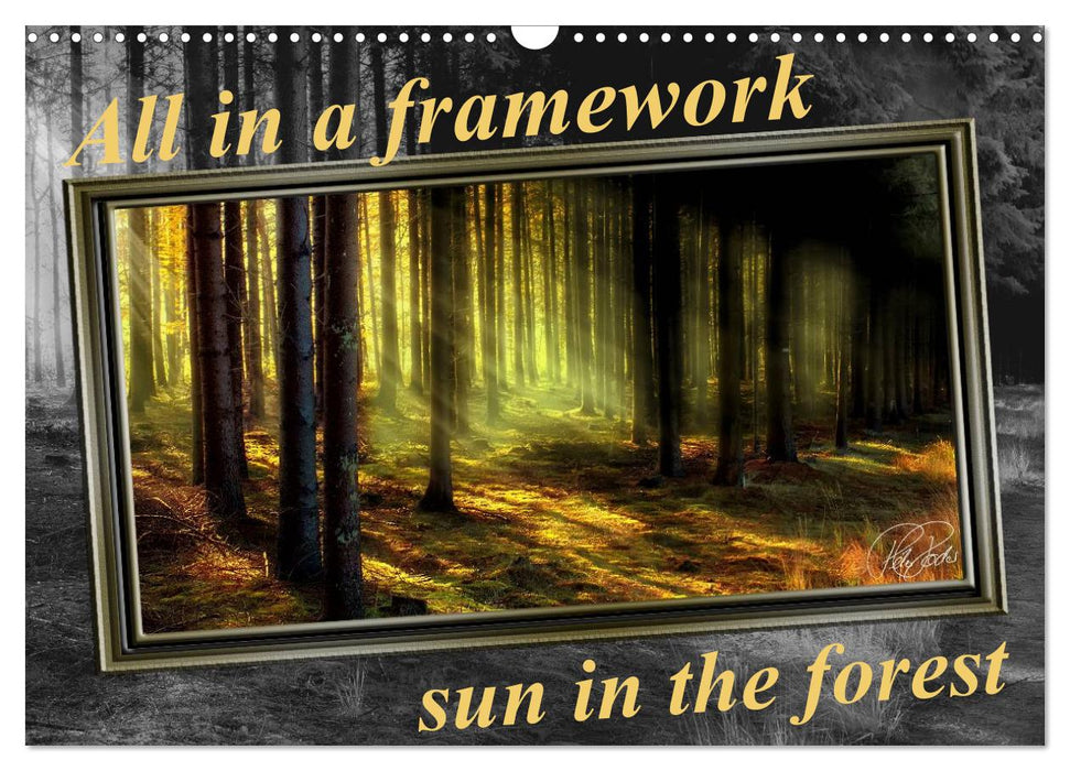 All in a framework - sun in the forest / UK-Version (CALVENDO Monthly Calendar 2025)