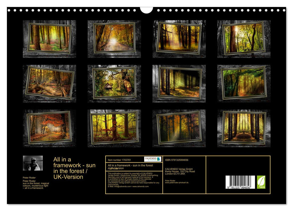 All in a framework - sun in the forest / UK-Version (CALVENDO Monthly Calendar 2025)