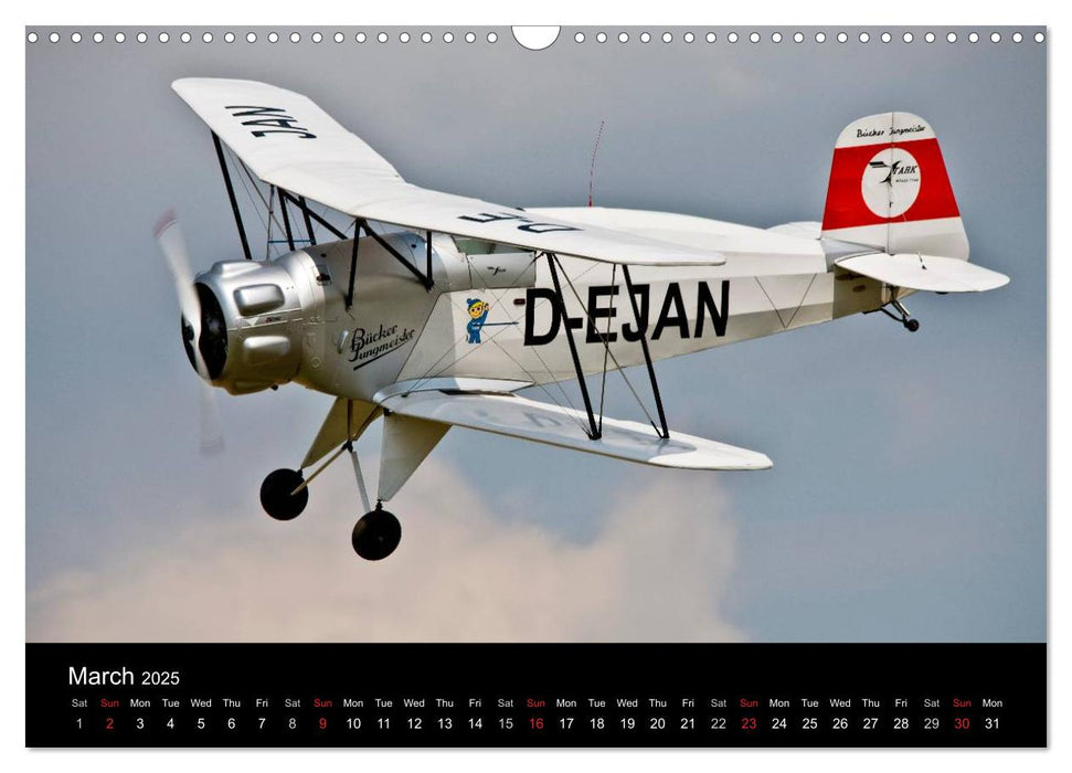 Scale Planes / UK-Version (CALVENDO Monthly Calendar 2025)