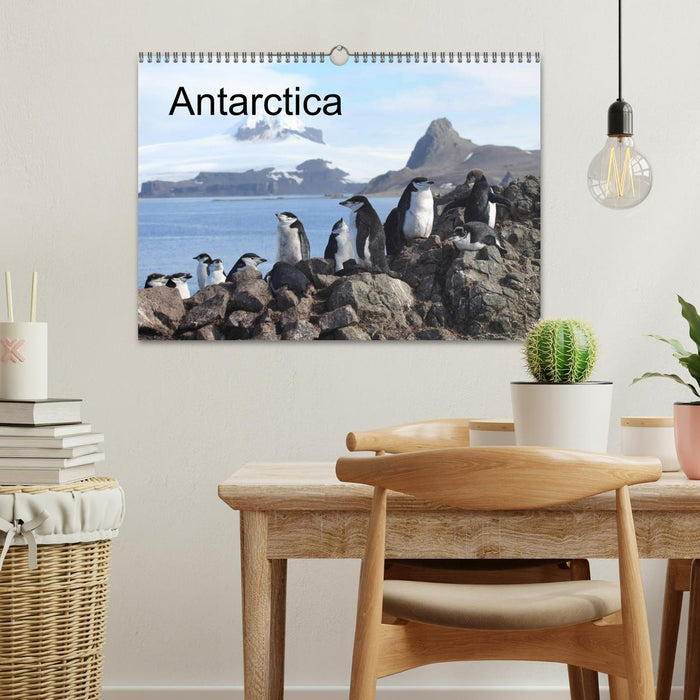 Antarctica (UK - Version) (CALVENDO Monthly Calendar 2025)