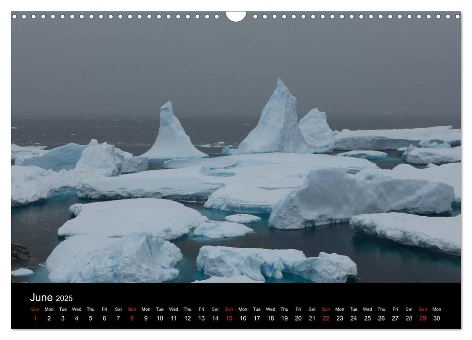 Antarctica (UK - Version) (CALVENDO Monthly Calendar 2025)