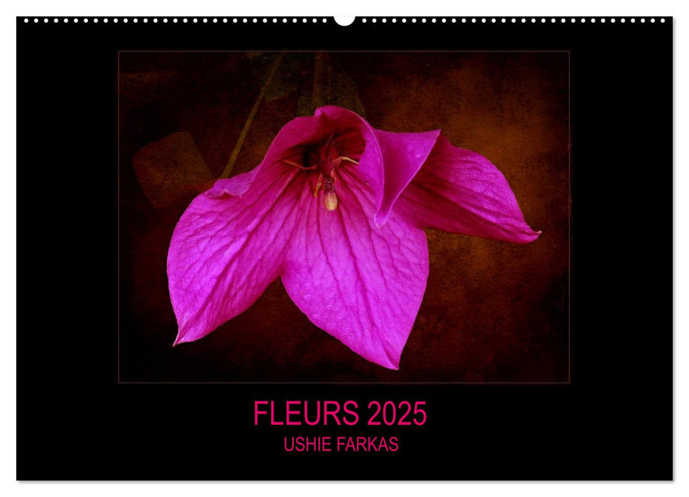 FLEURS 2025 ( FR - Version ) (CALVENDO Calendrier mensuel 2025)