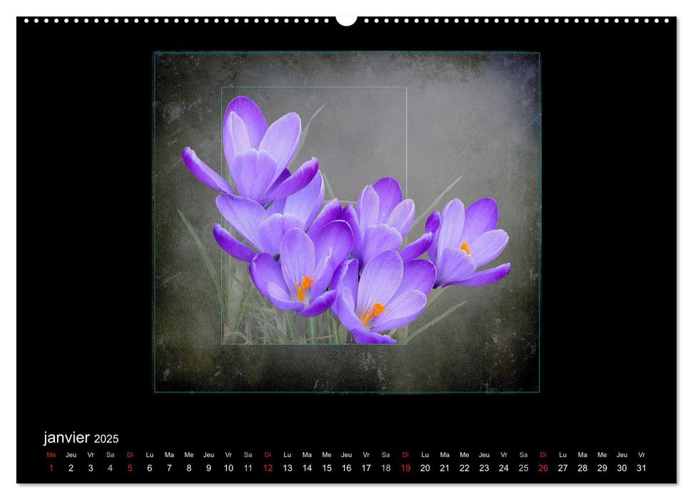 FLEURS 2025 ( FR - Version ) (CALVENDO Calendrier mensuel 2025)