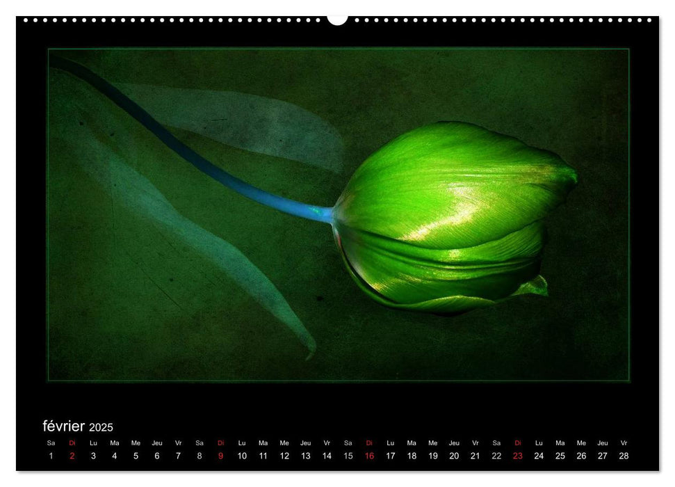 FLEURS 2025 ( FR - Version ) (CALVENDO Calendrier mensuel 2025)