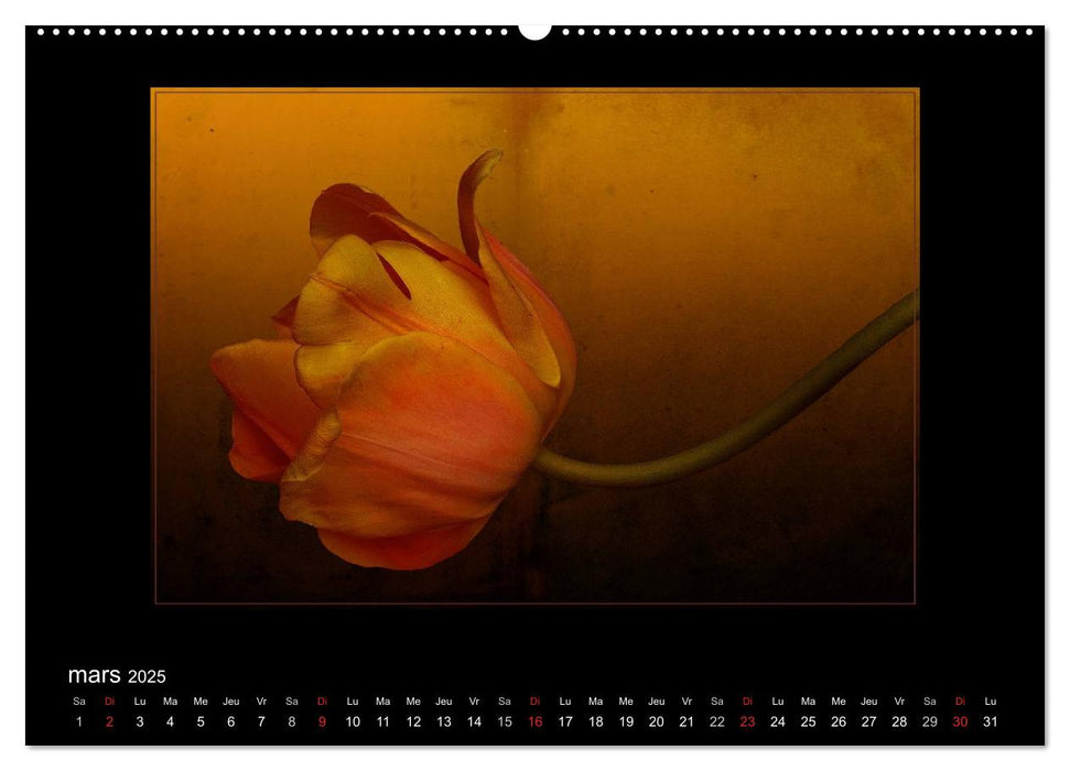 FLEURS 2025 ( FR - Version ) (CALVENDO Calendrier mensuel 2025)