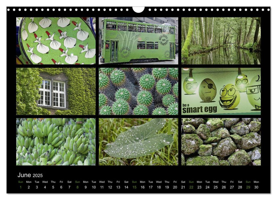 Colours (UK-Version) (CALVENDO Monthly Calendar 2025)