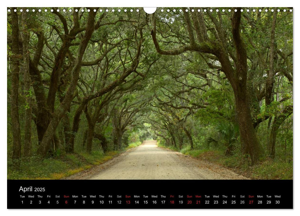 Southeast USA (CALVENDO Monthly Calendar 2025)