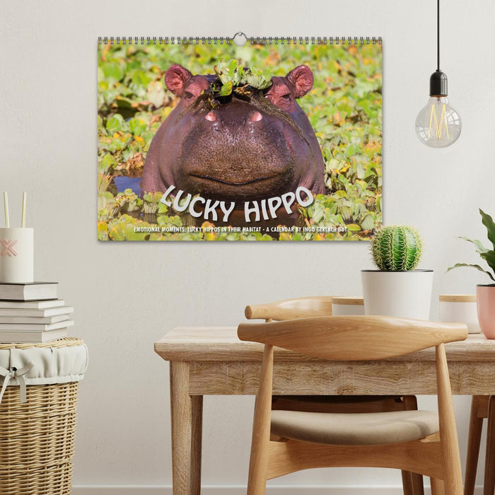 Emotional Moments: Lucky Hippo / UK-Version (CALVENDO Monthly Calendar 2025)