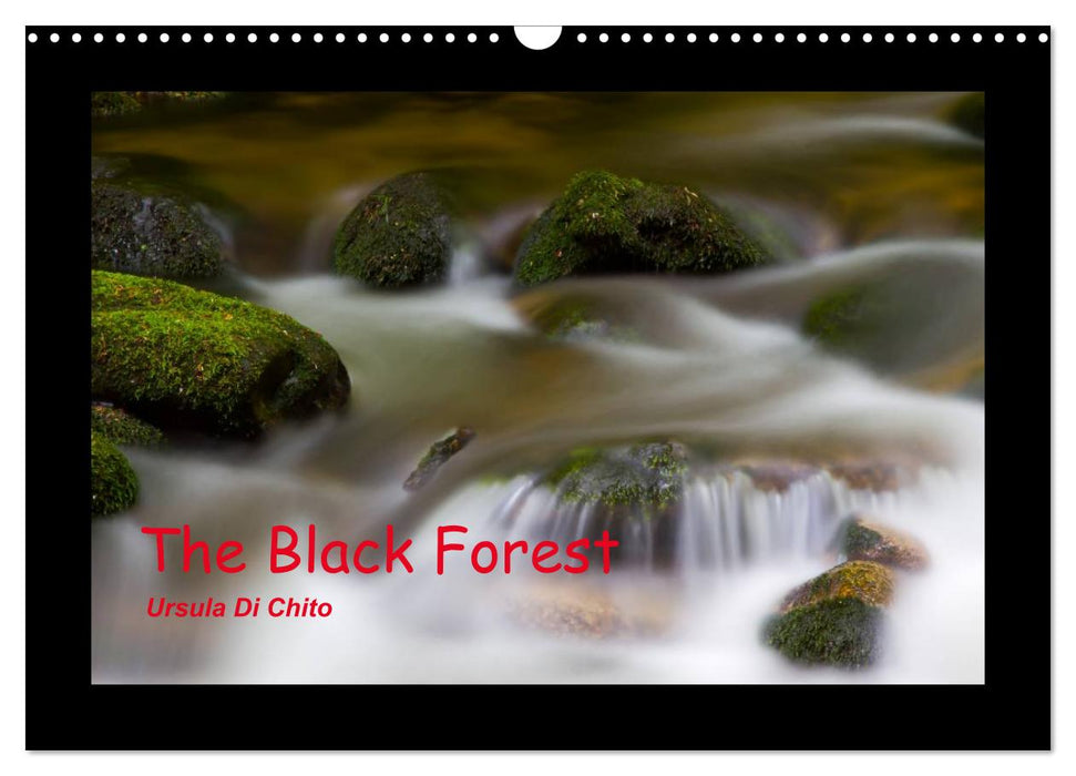 The Black Forest - UK Version (CALVENDO Monthly Calendar 2025)