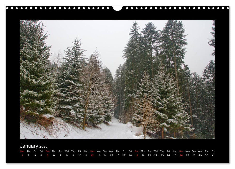 The Black Forest - UK Version (CALVENDO Monthly Calendar 2025)